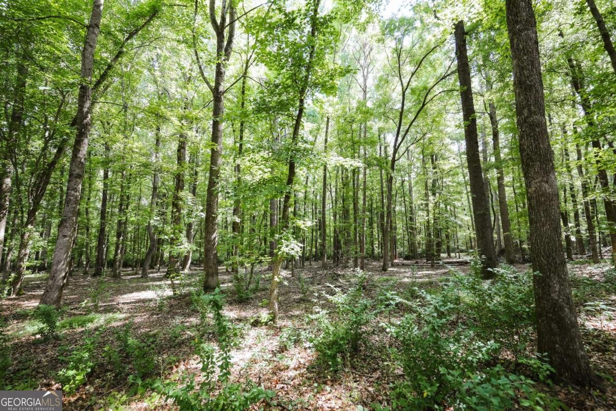 183 Oak Meadows Drive Athens - Photo 43