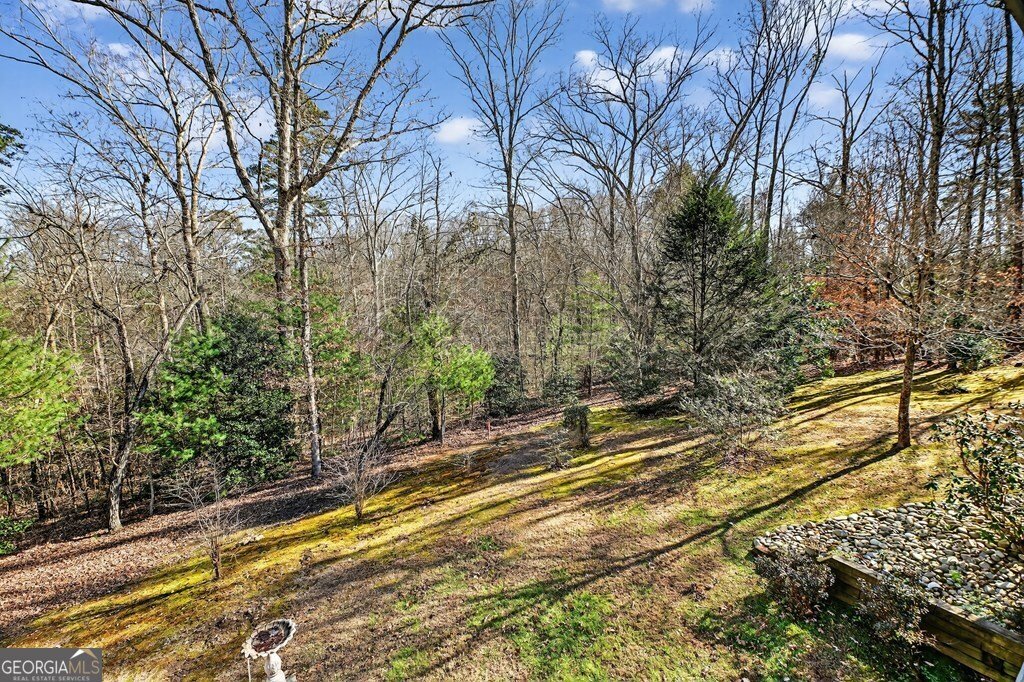 1575 Yukon Road Ellijay - Photo 26