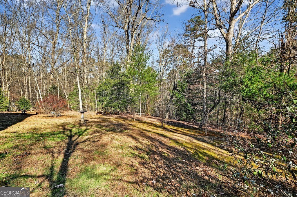 1575 Yukon Road Ellijay - Photo 6