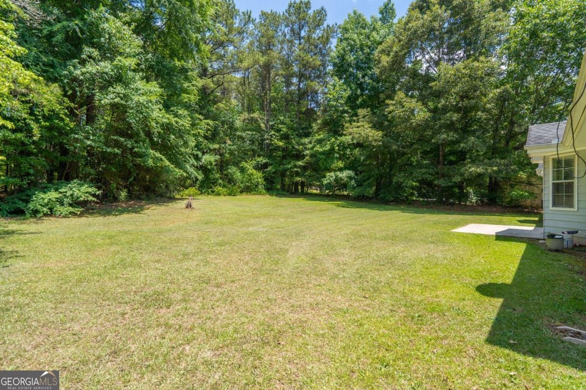 150 Willow Shoals Drive Covington - Photo 29
