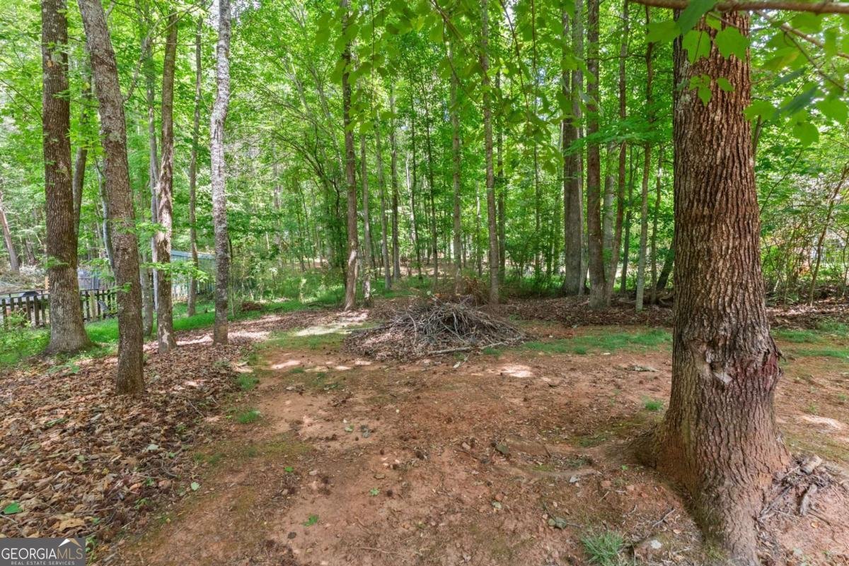 6643 Windvane Point Clermont - Photo 62