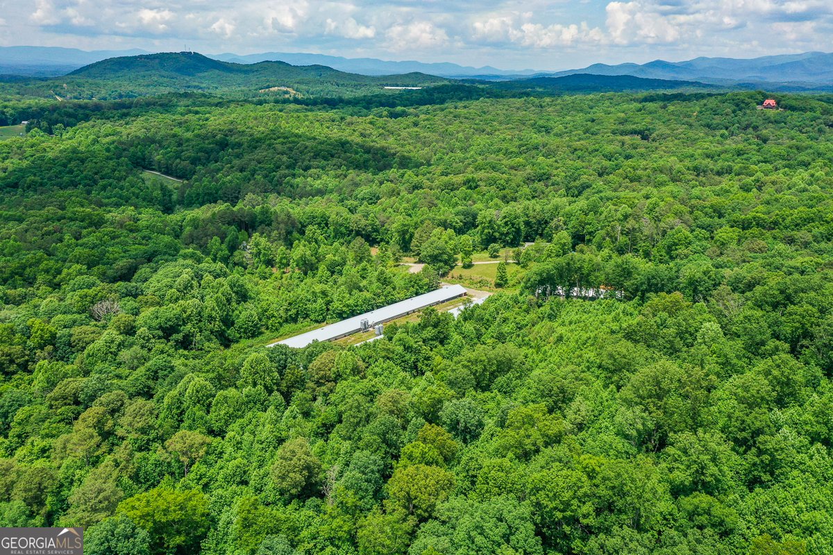 1010 Painter Road Talking Rock - Photo 19