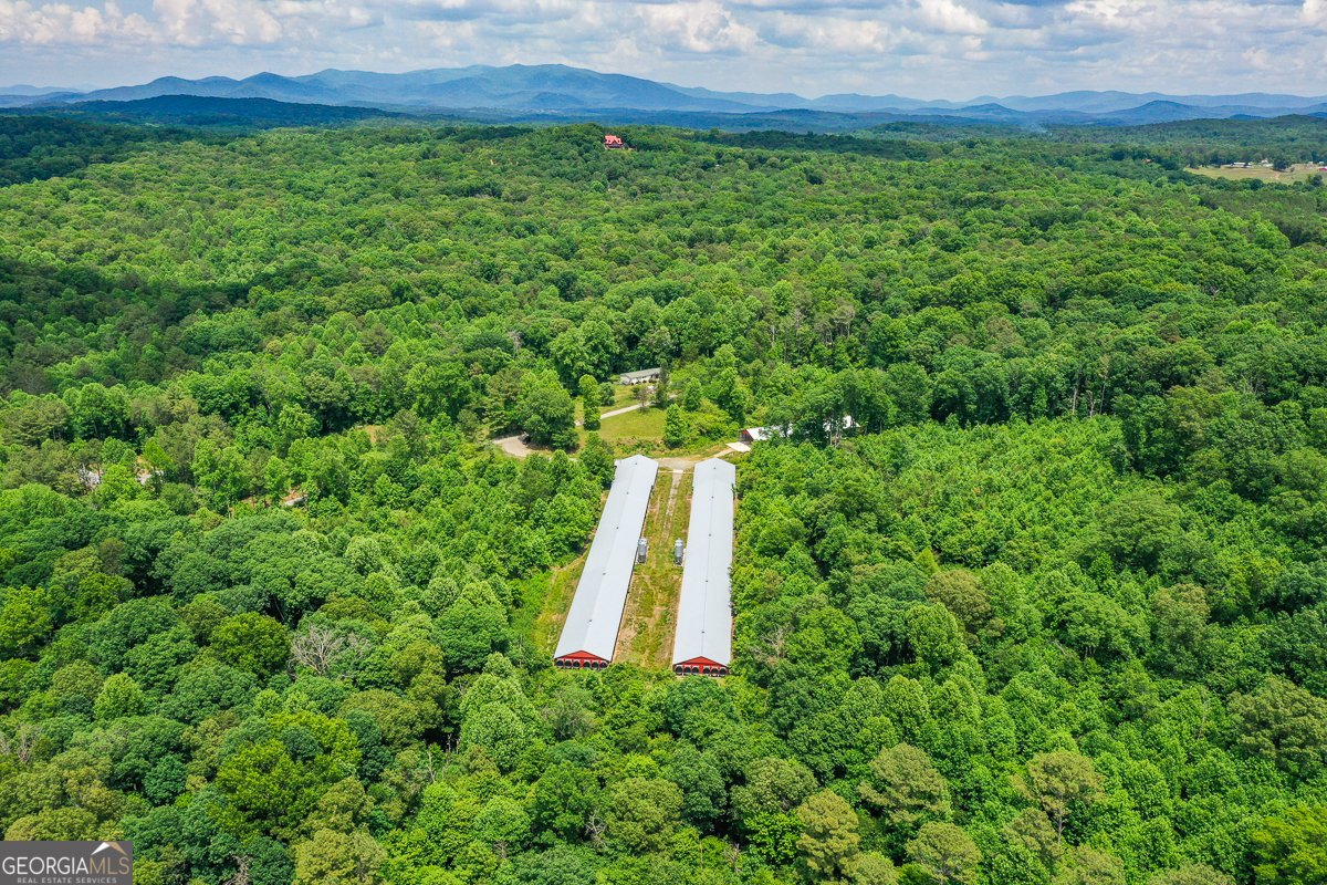 1010 Painter Road Talking Rock - Photo 20