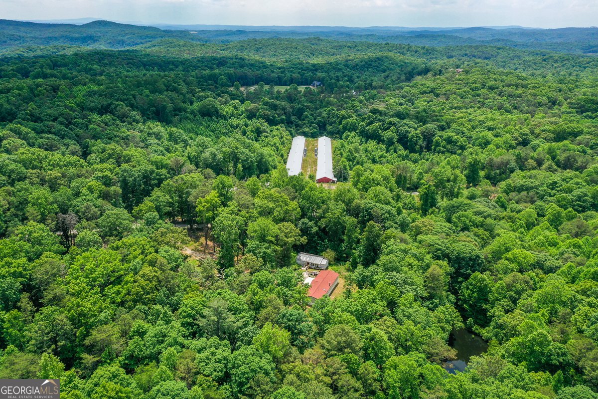 1010 Painter Road Talking Rock - Photo 28
