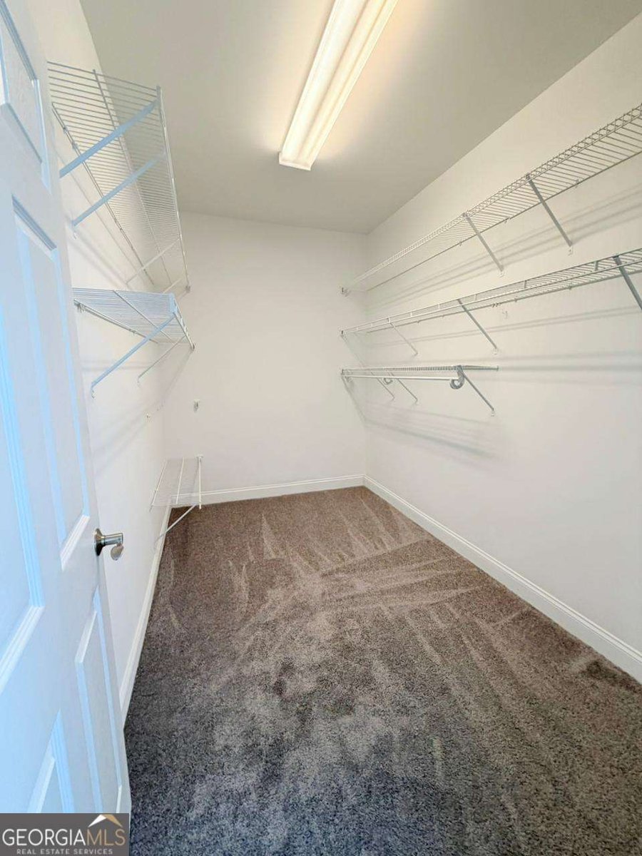 1030 Amber Waves Avenue Hoschton - Photo 12