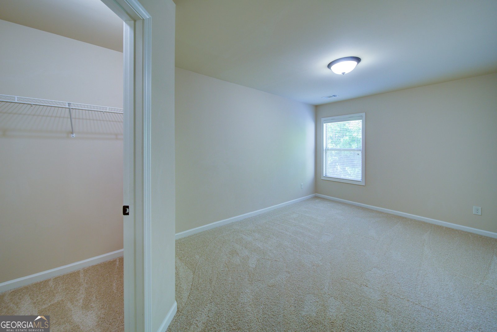 1040 Delo Lane Cumming - Photo 19