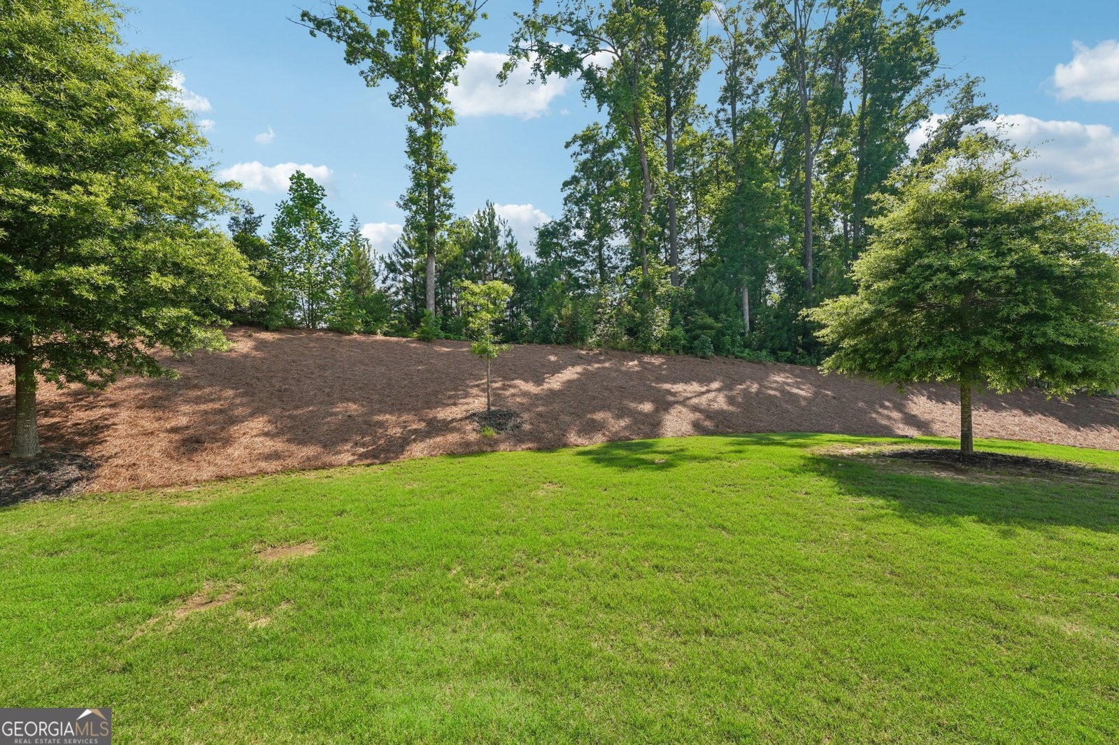 930 Stonekirk Court Alpharetta - Photo 77