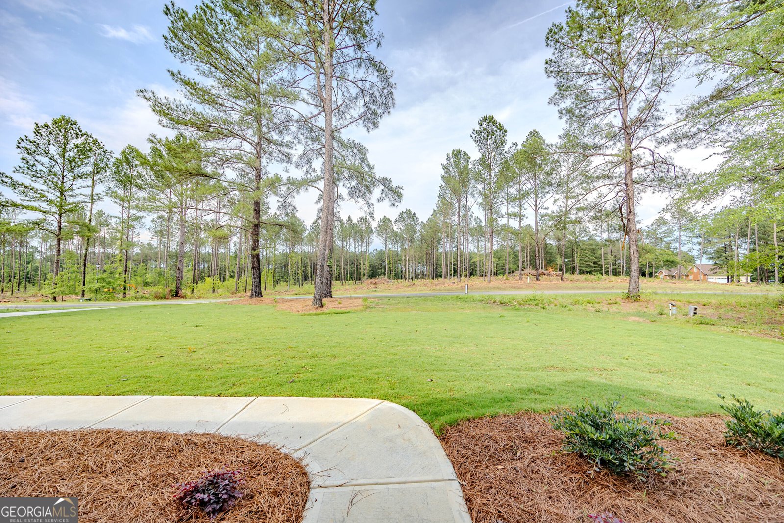 905 Sweet Magnolia Circle Dublin - Photo 76