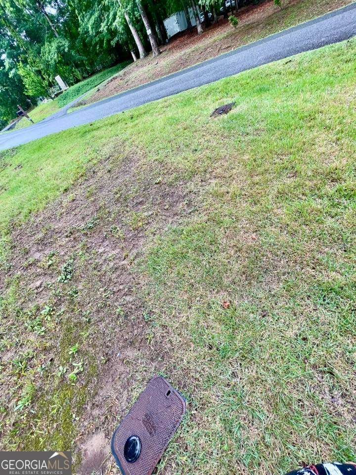 197 Blacks Mill Court Dawsonville - Photo 106