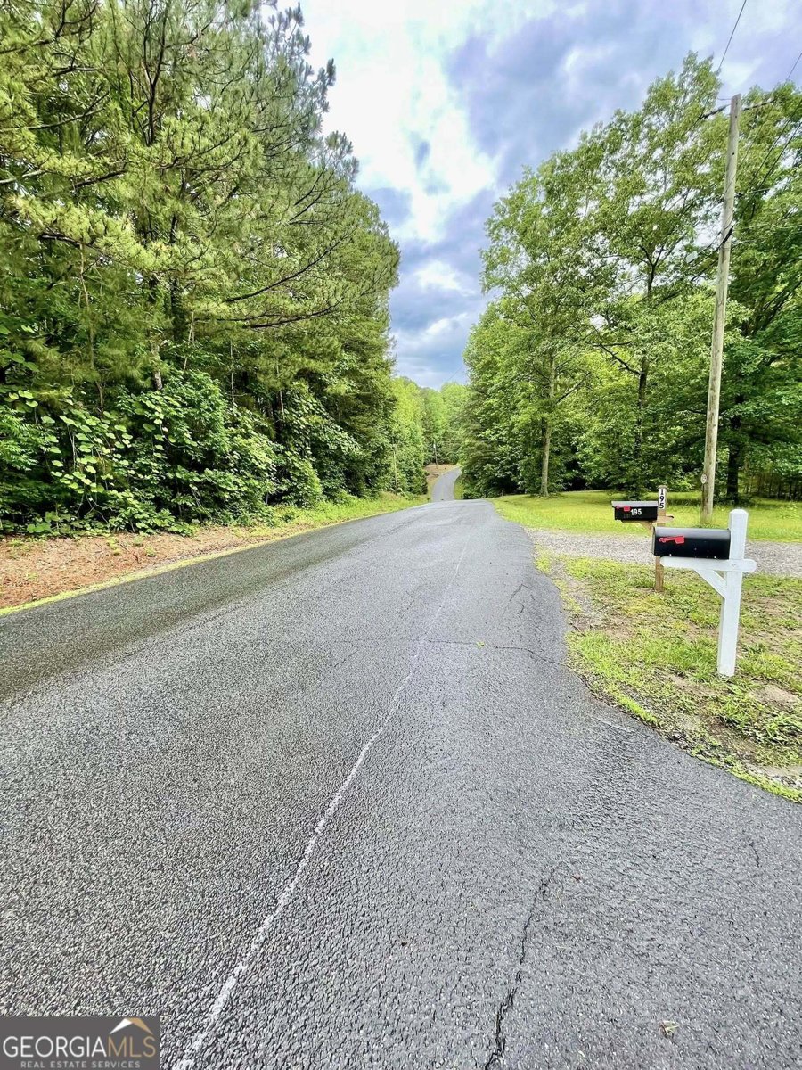 197 Blacks Mill Court Dawsonville - Photo 107