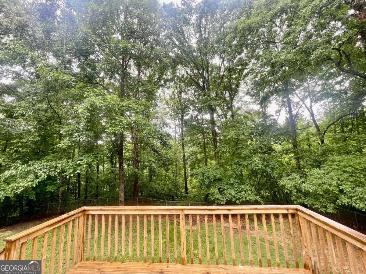 197 Blacks Mill Court Dawsonville - Photo 70