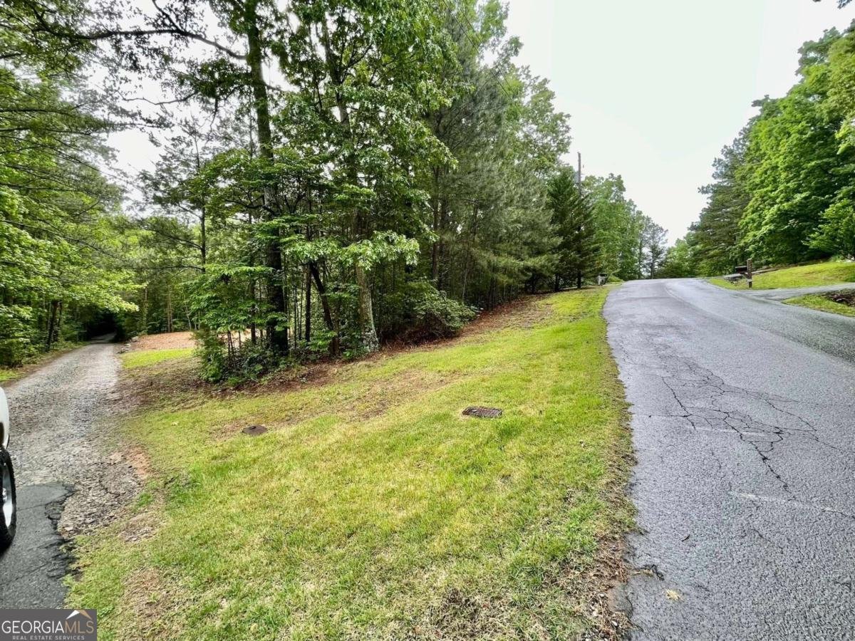 197 Blacks Mill Court Dawsonville - Photo 83
