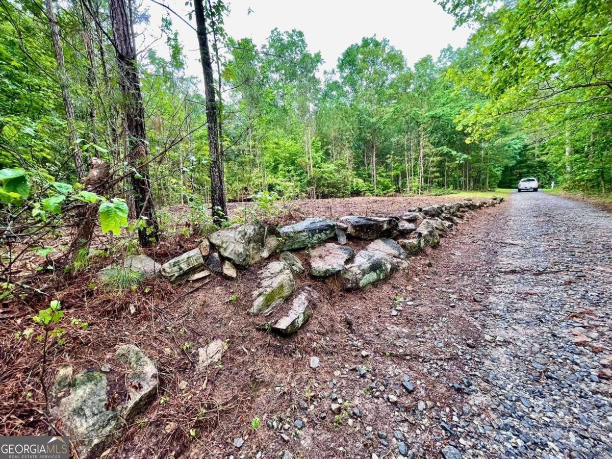 197 Blacks Mill Court Dawsonville - Photo 85