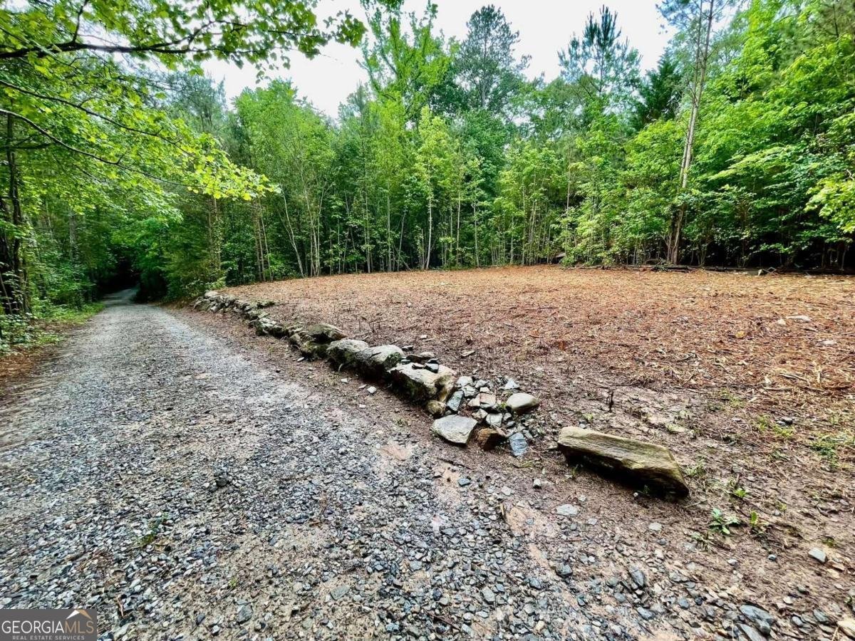 197 Blacks Mill Court Dawsonville - Photo 86