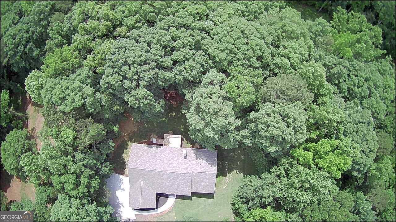 197 Blacks Mill Court Dawsonville - Photo 9