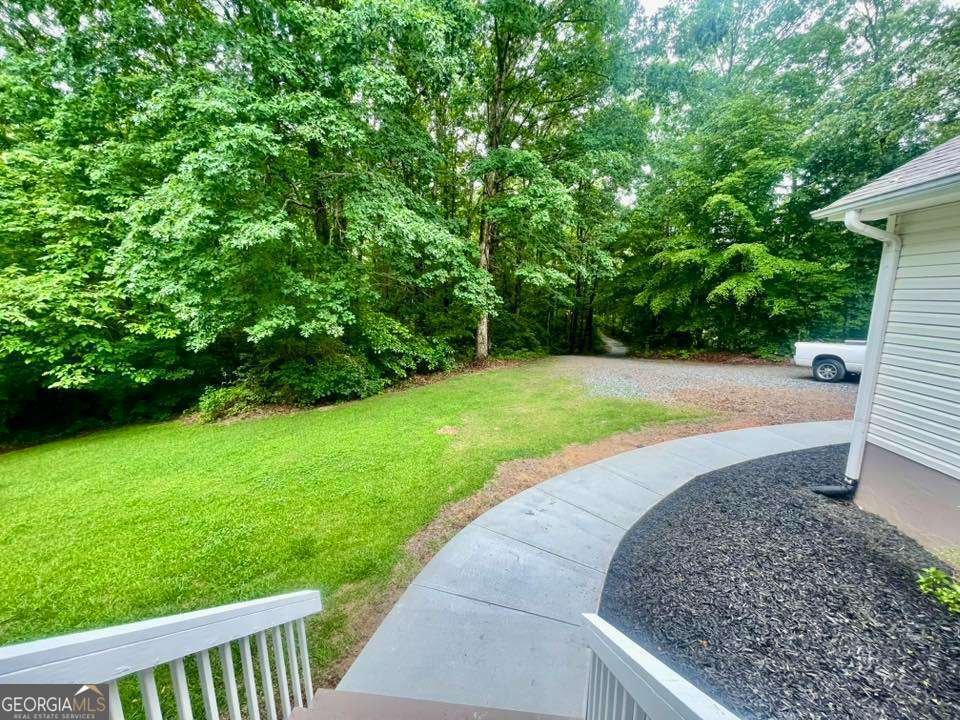 197 Blacks Mill Court Dawsonville - Photo 91
