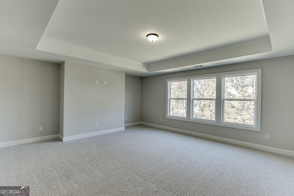 450 Thunder Road Buford - Photo 31