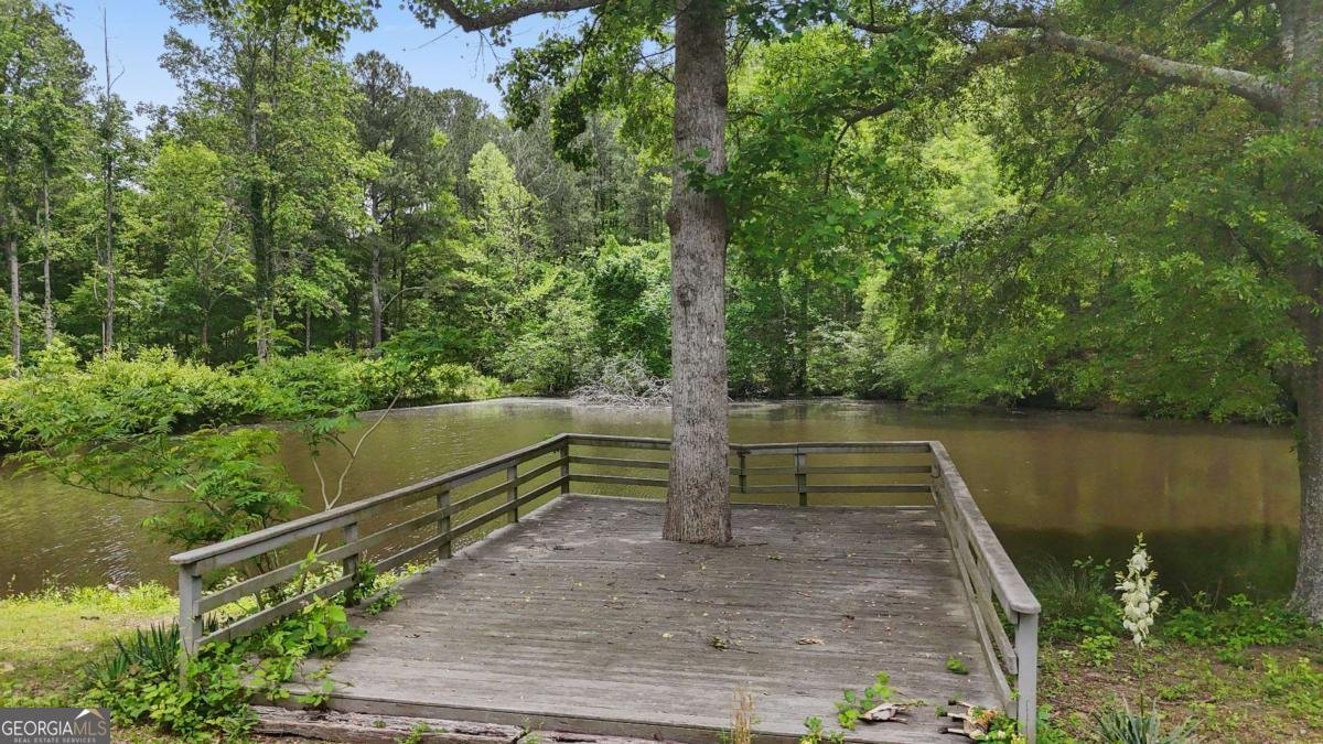 1528 Old Cartersville Road Dallas - Photo 44