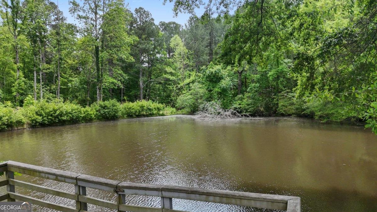 1528 Old Cartersville Road Dallas - Photo 45