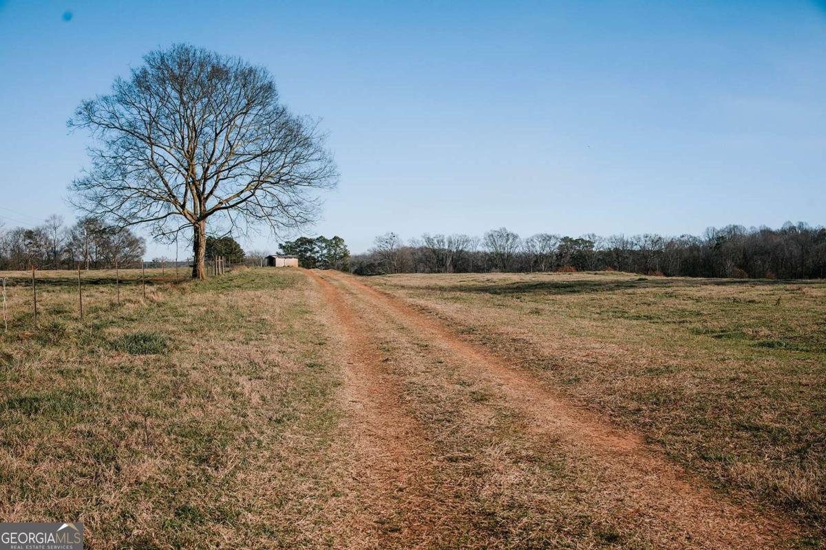 119A Ralph Bridges Road Lexington - Photo 20