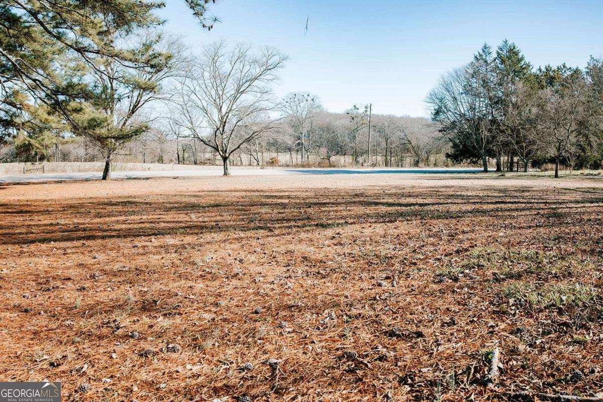 119A Ralph Bridges Road Lexington - Photo 57
