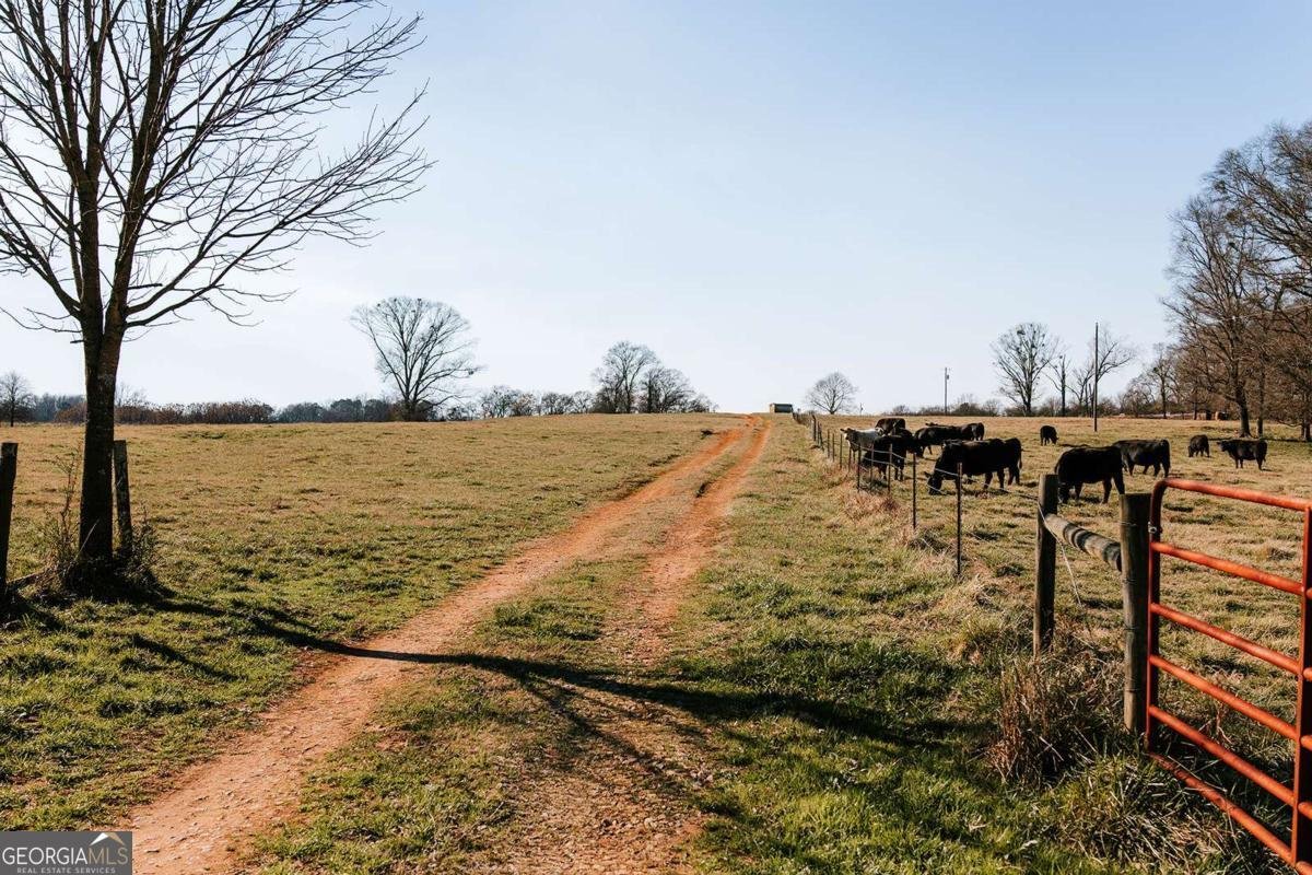 119A Ralph Bridges Road Lexington - Photo 6