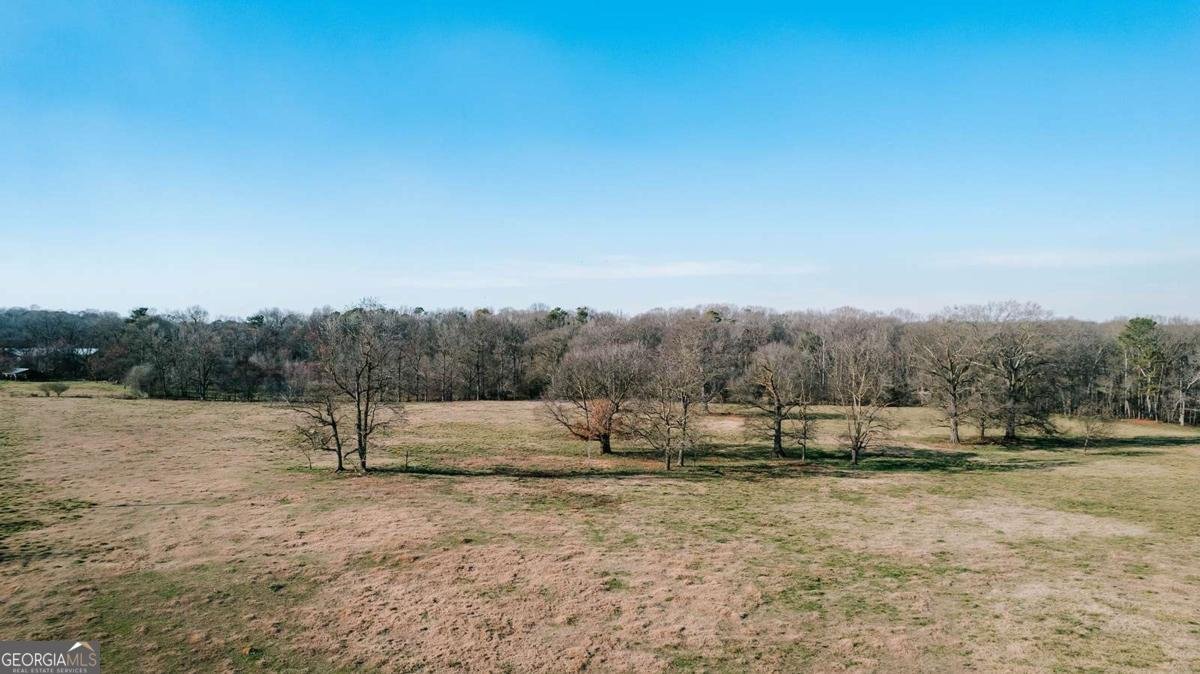 119A Ralph Bridges Road Lexington - Photo 66