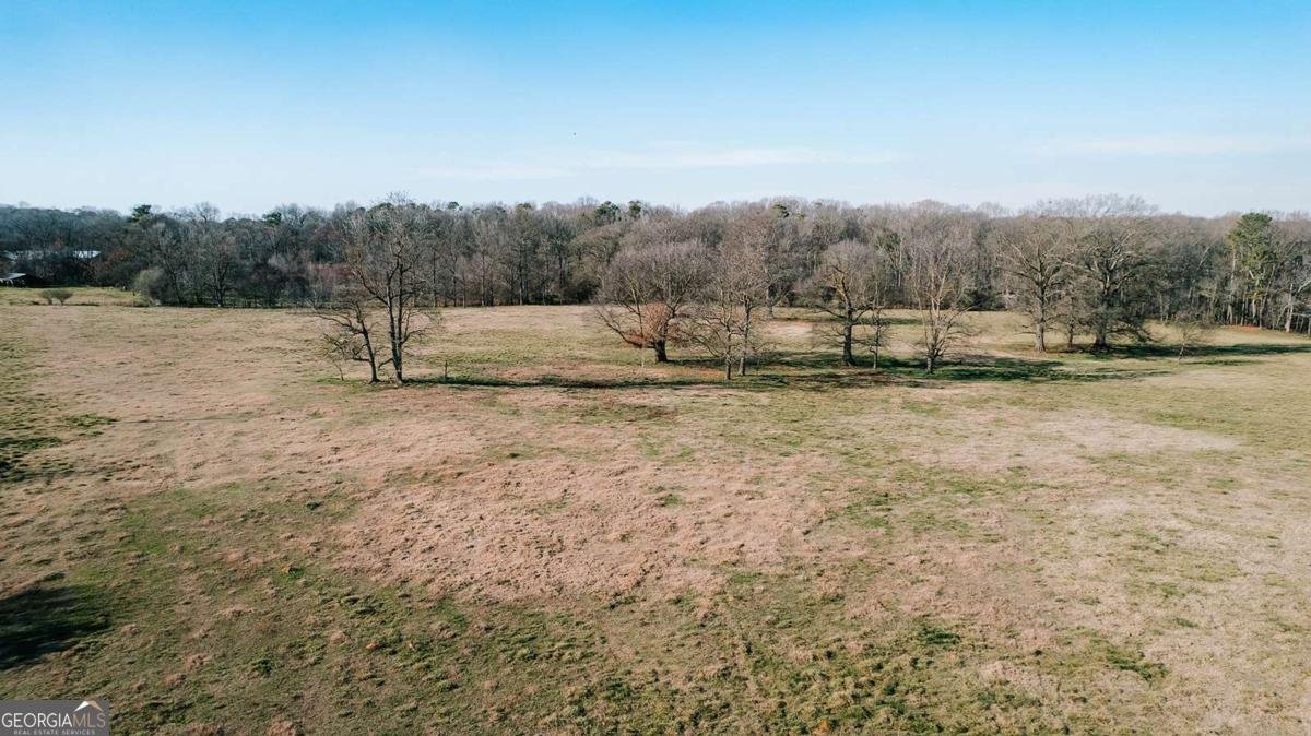 119A Ralph Bridges Road Lexington - Photo 67