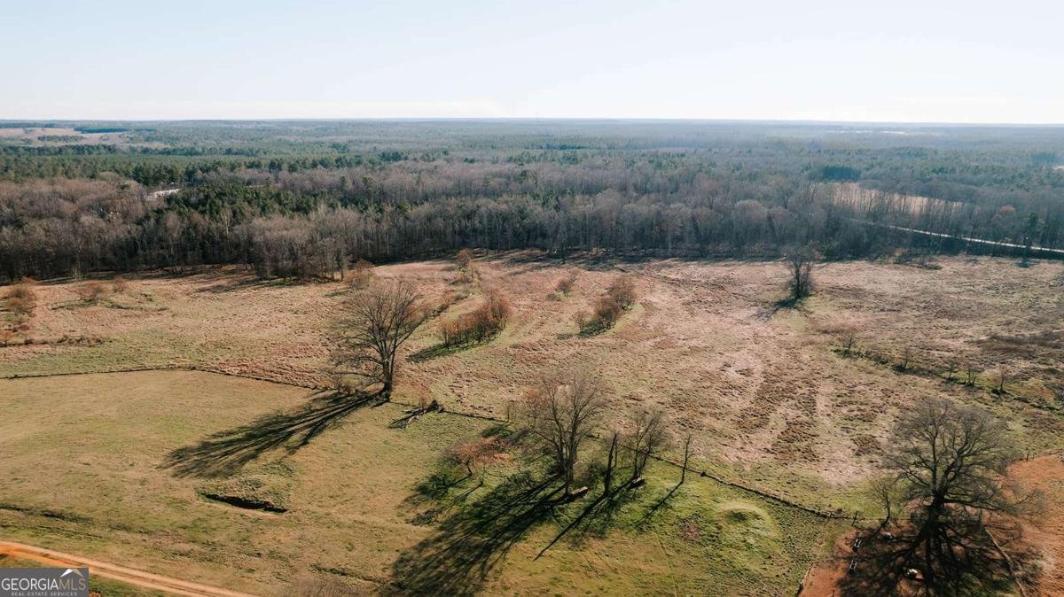 119A Ralph Bridges Road Lexington - Photo 71