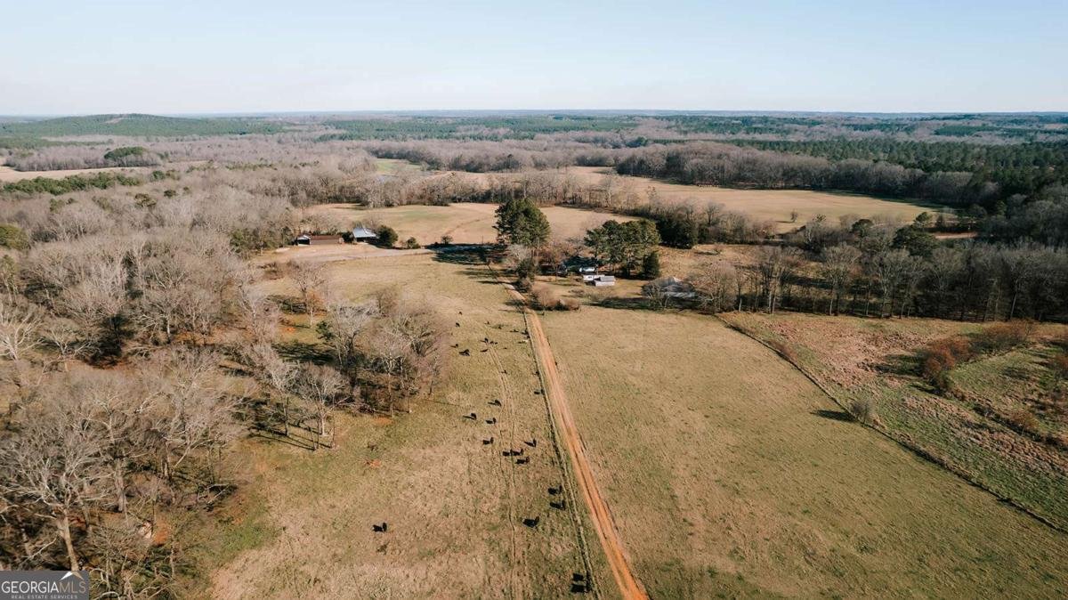 119A Ralph Bridges Road Lexington - Photo 73