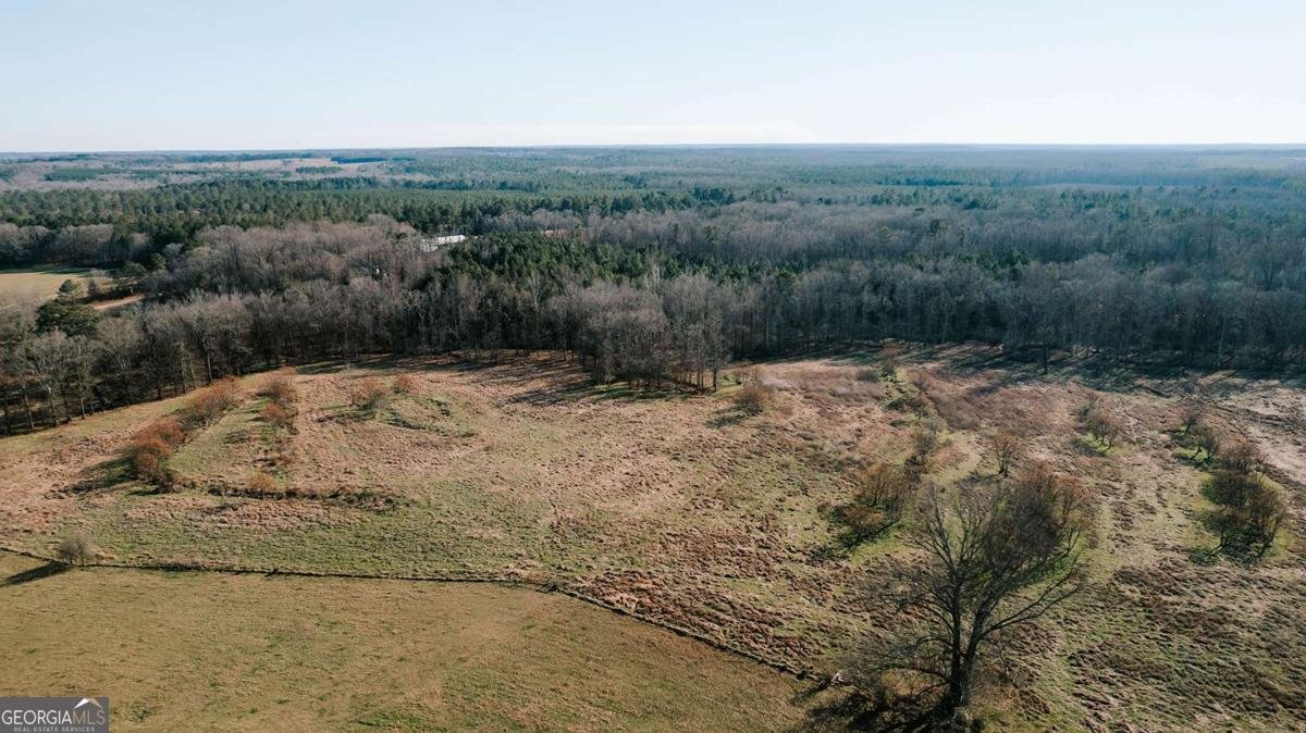 119A Ralph Bridges Road Lexington - Photo 74