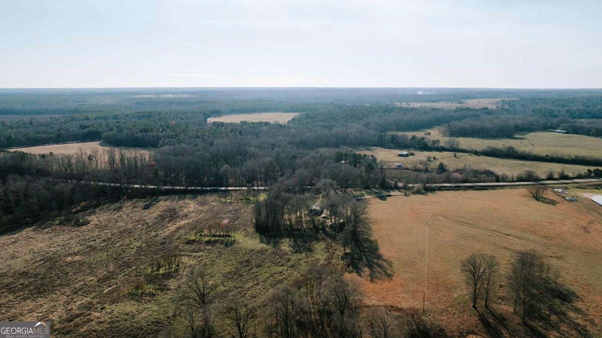 119A Ralph Bridges Road Lexington - Photo 77