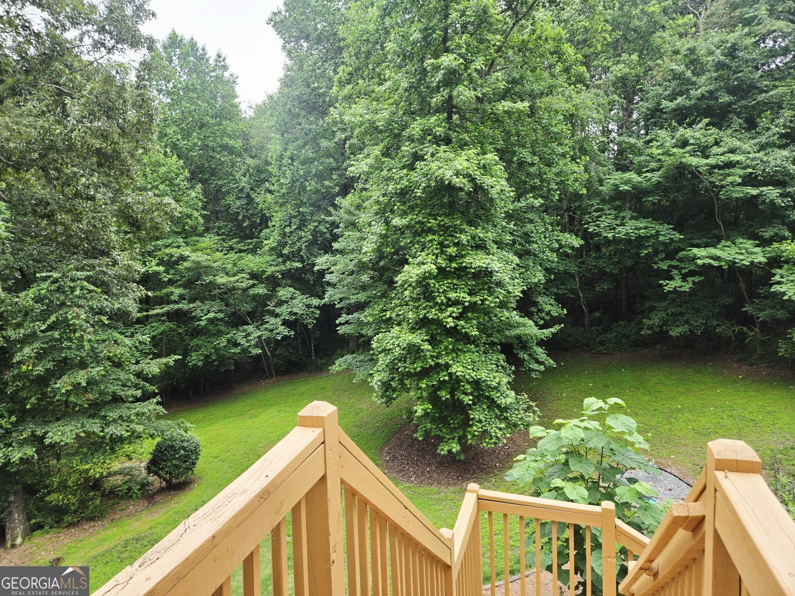 1174 Arbor Hill Road Canton - Photo 53