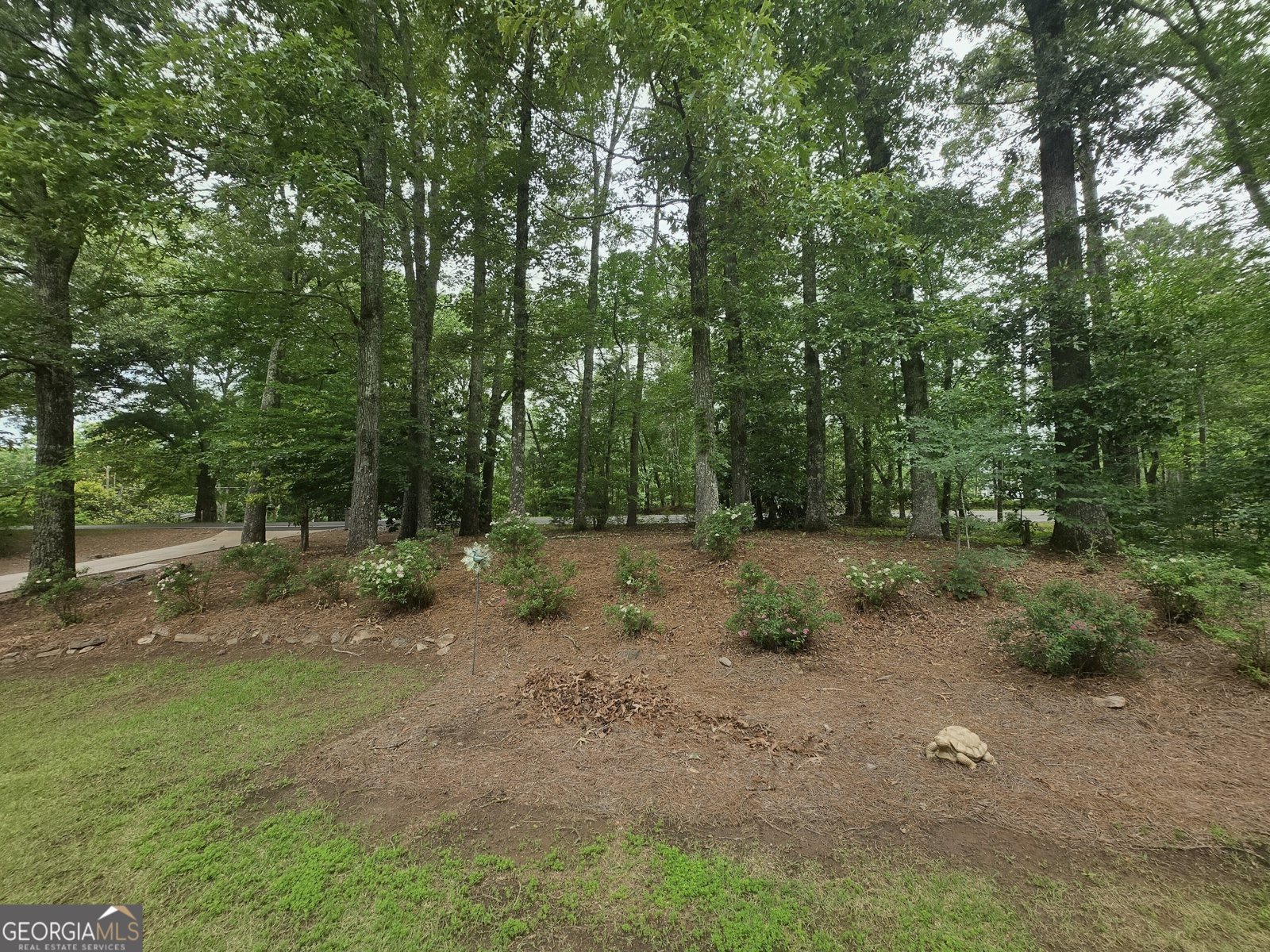 1174 Arbor Hill Road Canton - Photo 55