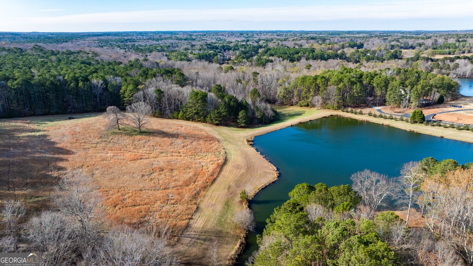 1145 Brittany Way Fayetteville - Photo 46