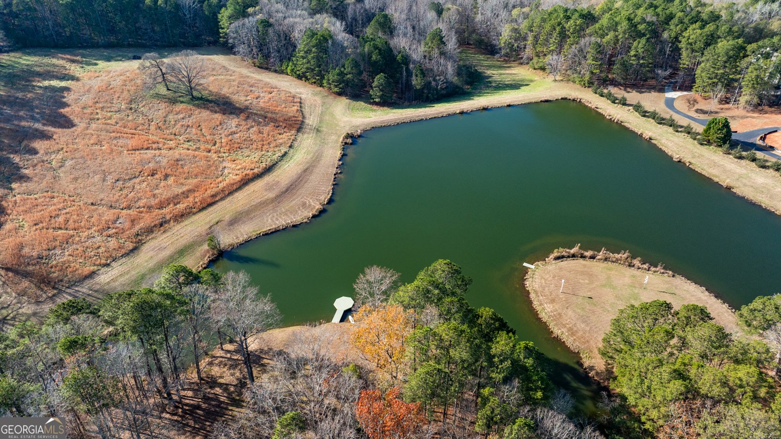 1145 Brittany Way Fayetteville - Photo 50