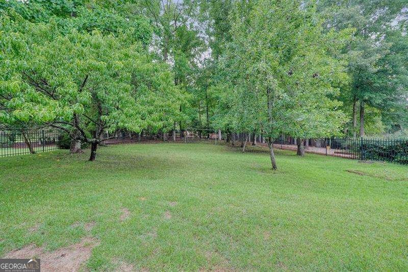 1011 Fairway Valley Drive Woodstock - Photo 47