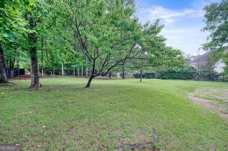 1011 Fairway Valley Drive Woodstock - Photo 49
