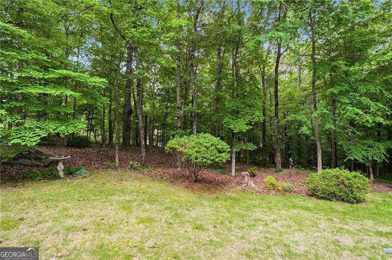 35 Elmtree Drive Sharpsburg - Photo 41