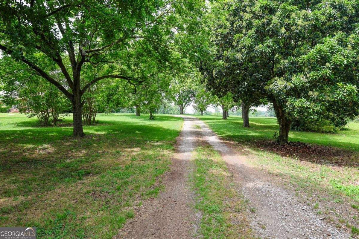 570 Wildcat Bridge Road Royston - Photo 26