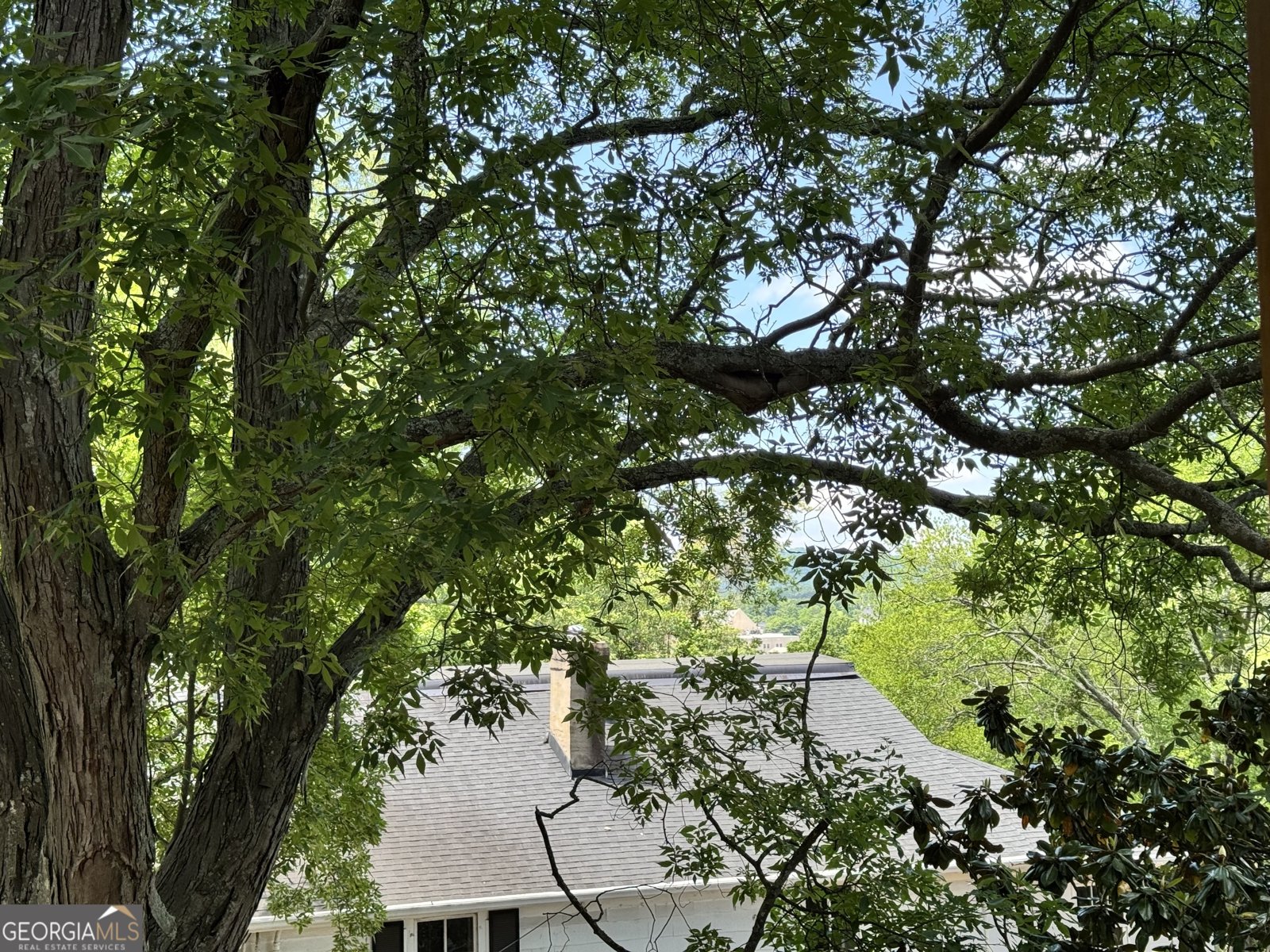 351 WASHINGTON Avenue Marietta - Photo 14