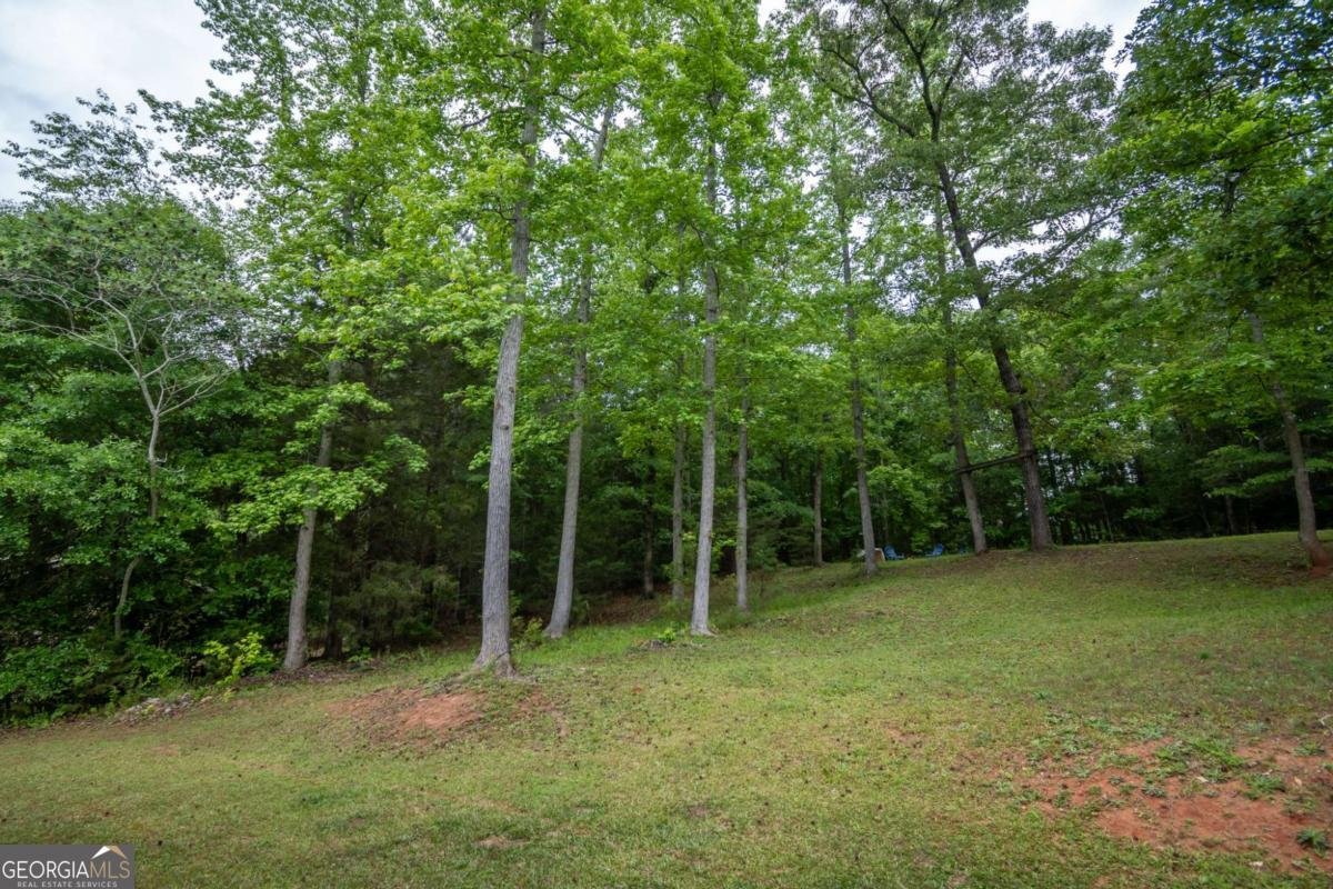 280 Twin Creek Shores Athens - Photo 37