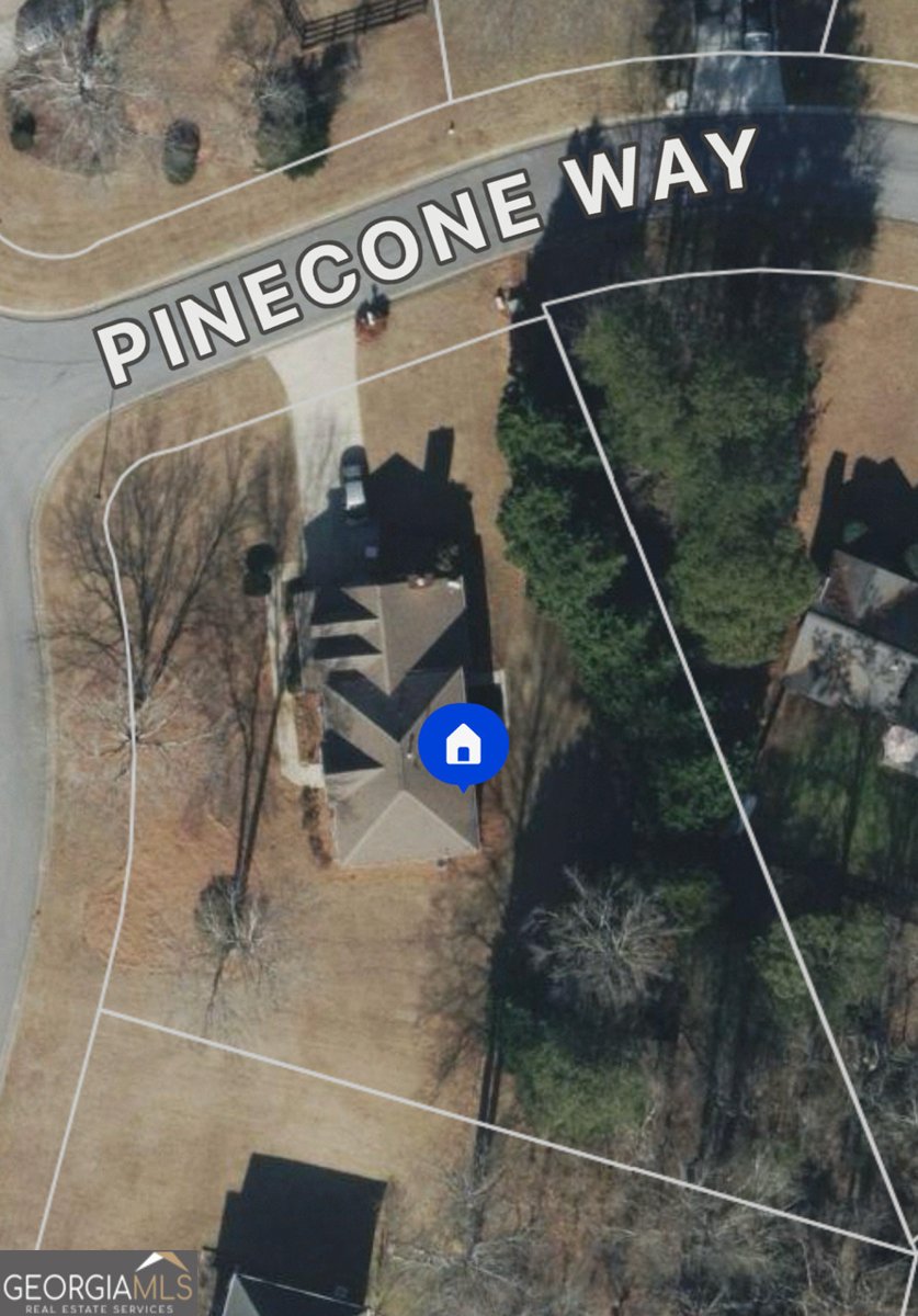 7010 Pinecone Way Cumming - Photo 40