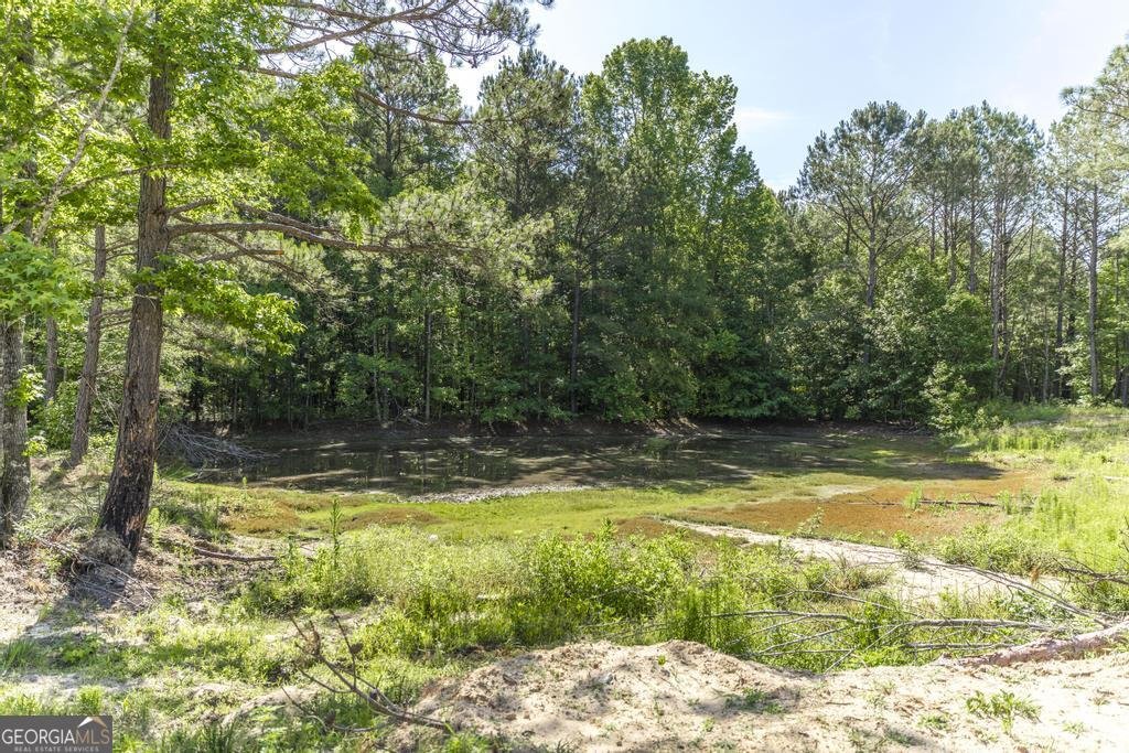 3270 Hamlin Road Lizella - Photo 45
