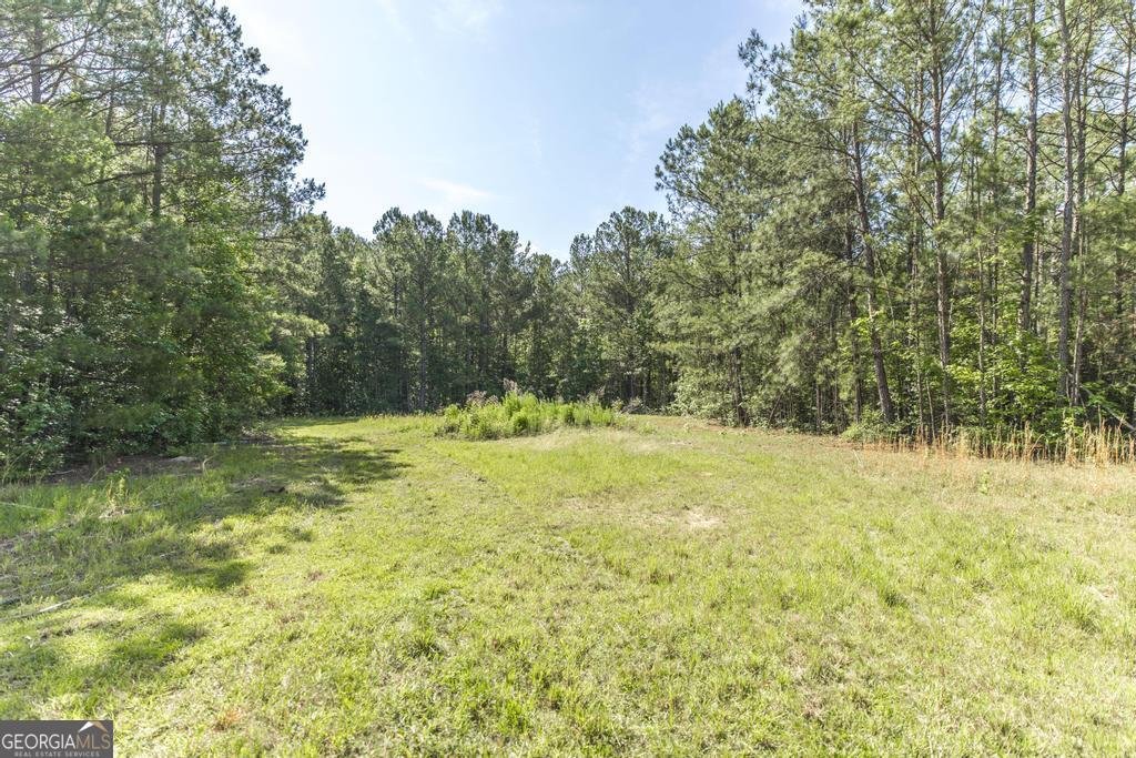 3270 Hamlin Road Lizella - Photo 46