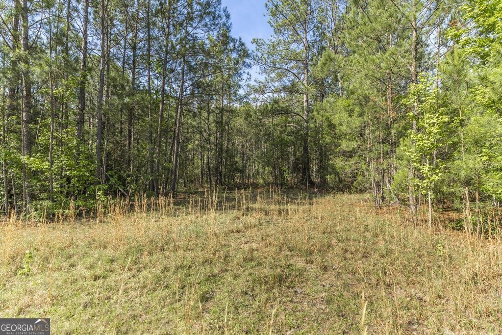3270 Hamlin Road Lizella - Photo 48