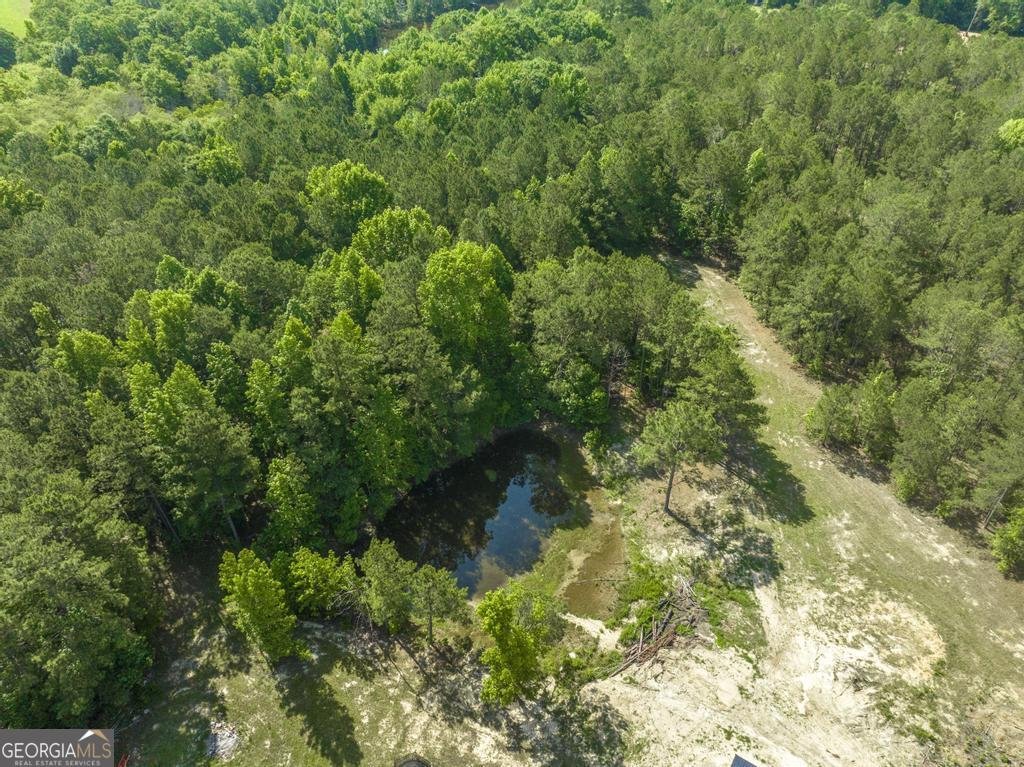 3270 Hamlin Road Lizella - Photo 59