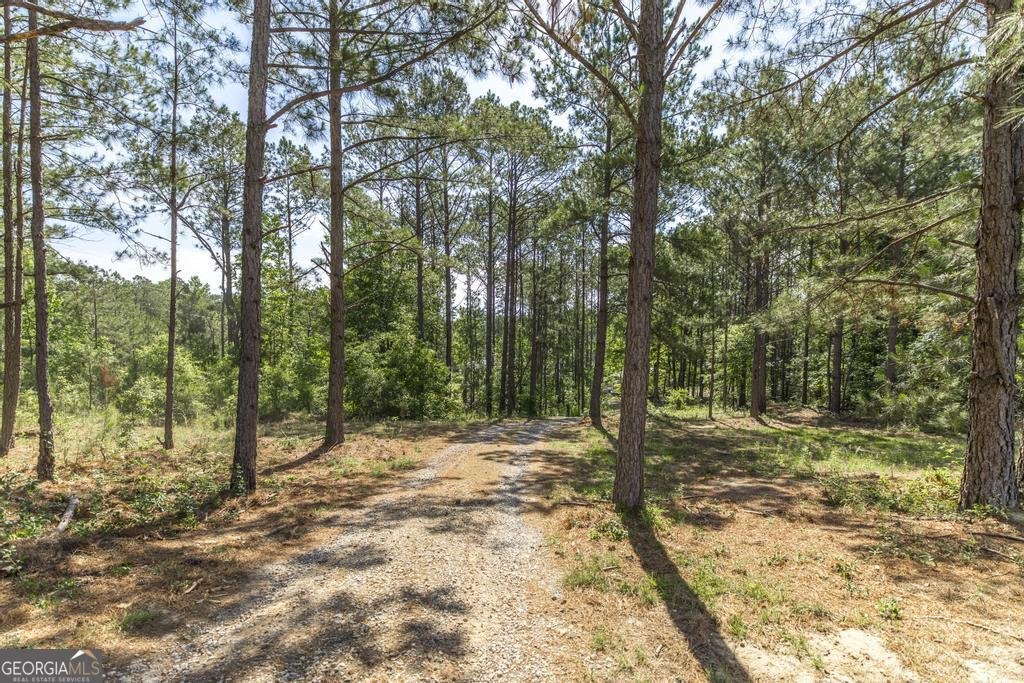 3270 Hamlin Road Lizella - Photo 6