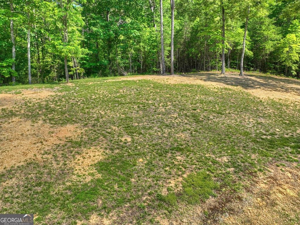 2113 Turniptown Road Ellijay - Photo 7