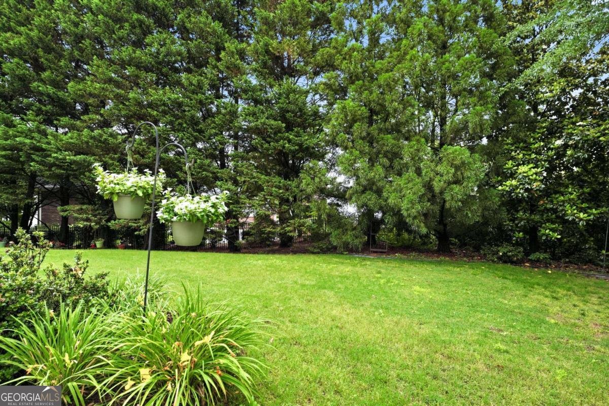 2585 Shumard Oak Drive Braselton - Photo 75